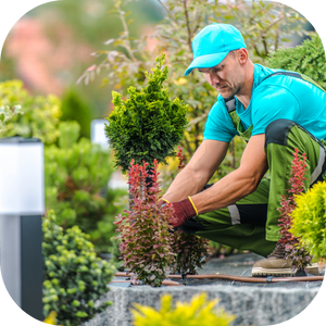 Banner - Gereedschap cadeau voor tuinliefhebbers