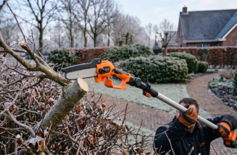 Bomen snoeien met vorst in de tuin met kettingzaag met steel