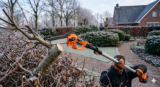 Bomen snoeien met vorst: wat je moet weten